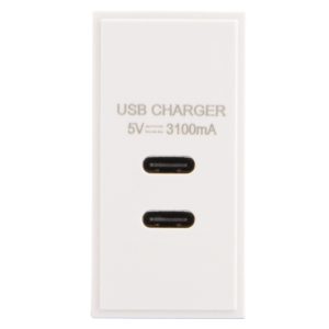 25mm x 50mm Dual USB Type C 3.1mA White - Image 2